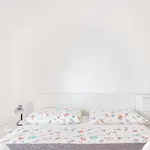 Ivo * 马卡尔斯卡