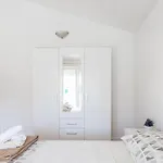 Ivo * 马卡尔斯卡