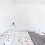 Ivo * 马卡尔斯卡